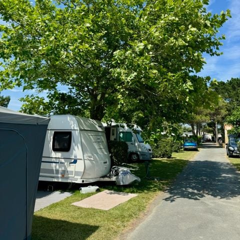 Kampeerplaats - Comfort-staanplaatsarrangement 90 m²