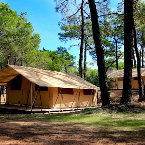 Safaritent 4 personen - Canvas & houten tent, zonder sanitair