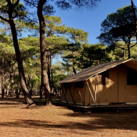 Safaritent 4 personen - Canvas & houten tent, zonder sanitair