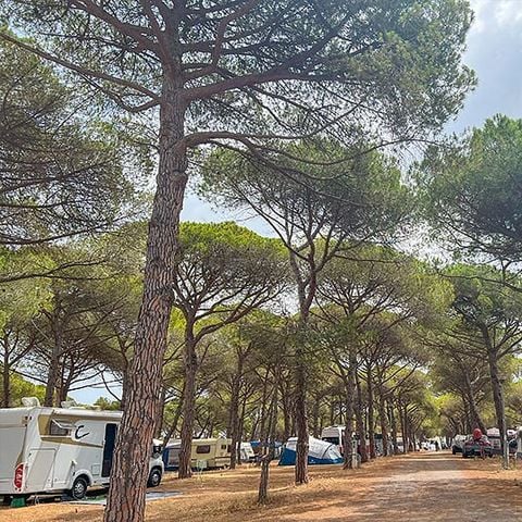 Camping La Tamarissière - Hérault - Afbeelding N°6
