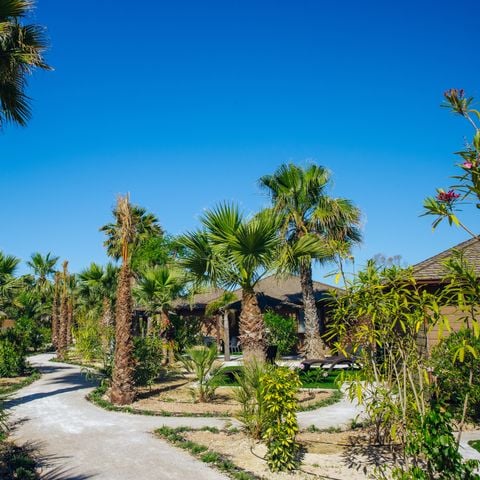 Camping Alannia Costa Blanca - Alicante - Afbeelding N°3