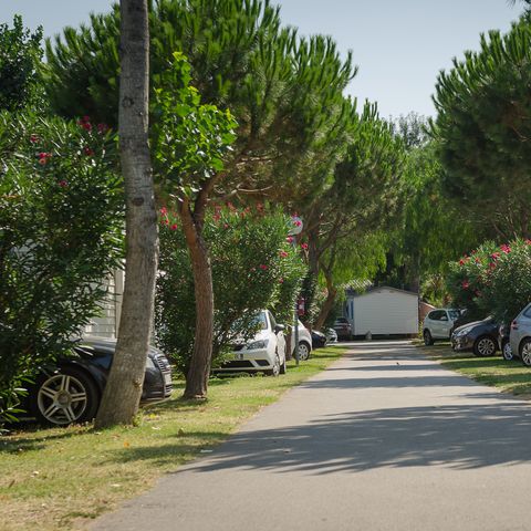 Camping la Plage Argelès - Camping Pyrénées-Orientales - Afbeelding N°6