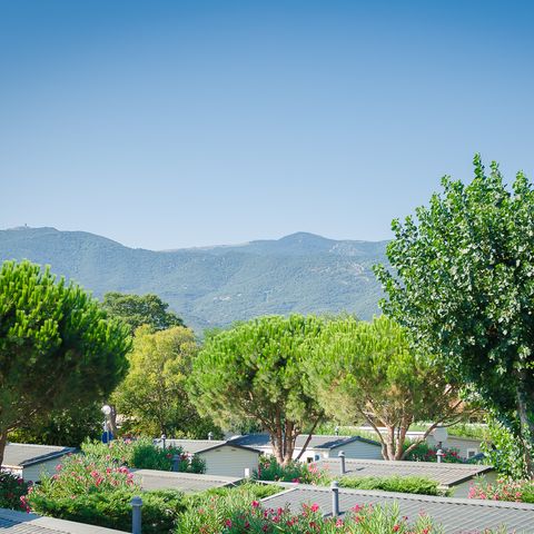 Camping la Plage Argelès - Camping Pyrénées-Orientales - Afbeelding N°5
