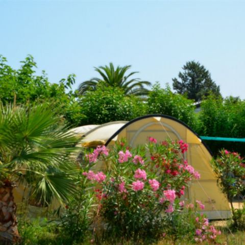 STAANPLAATS - Camping