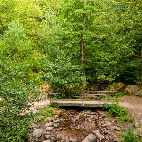 Camping d'Autun - Camping Saône-et-Loire - Afbeelding N°6