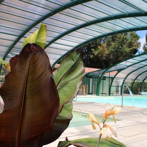 Camping Landes Azur - Camping Landes - Afbeelding N°4