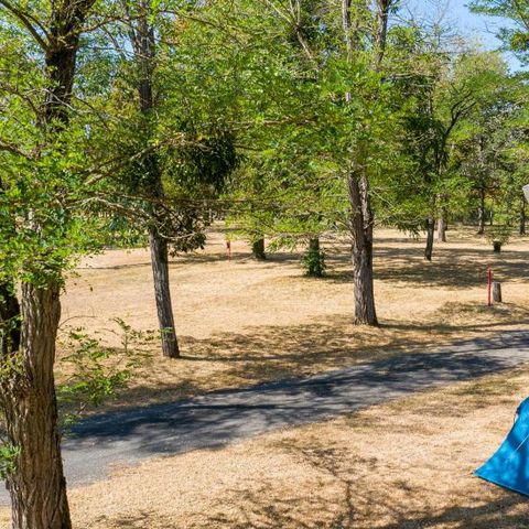 Camping de L'Ile  - Camping Cher - Afbeelding N°4