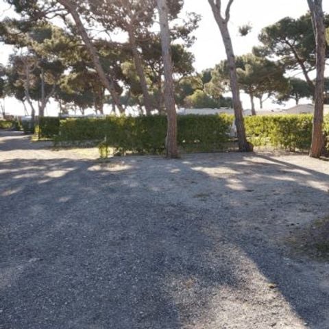 Camping 3 Estrellas - Camping Castellón - Afbeelding N°2