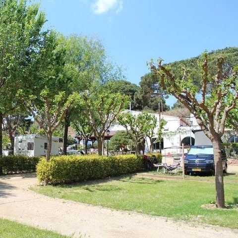 STAANPLAATS - Standplaats Plus + 1 auto + tent, caravan of camper + elektriciteit 2