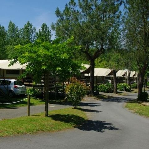 Safaritent 6 personen - Lodge ULIA 6 personen