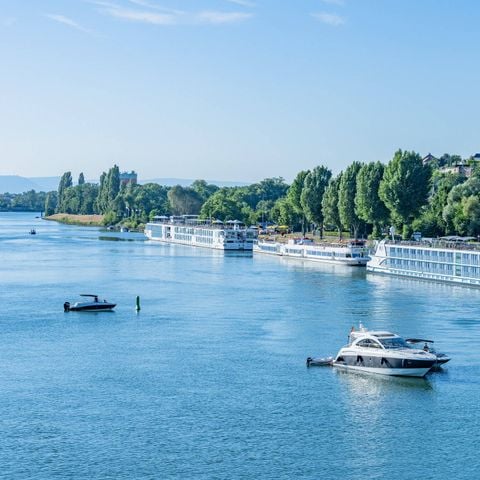 Camping L'Île du Rhin - Haut-Rhin - Afbeelding N°3