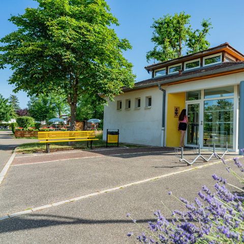 Camping L'Île du Rhin - Haut-Rhin - Afbeelding N°5