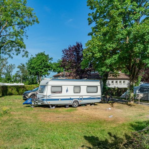 Camping L'Île du Rhin - Haut-Rhin - Afbeelding N°4
