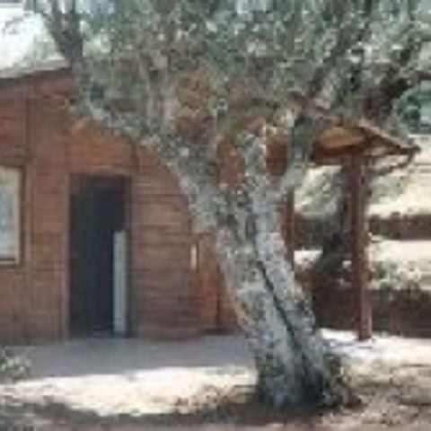 Chalet 4 personen - CHALET 4 personen