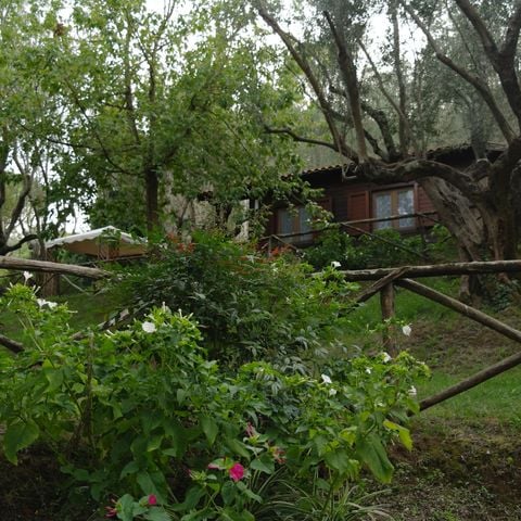 Chalet 4 personen - CHALET 4 personen