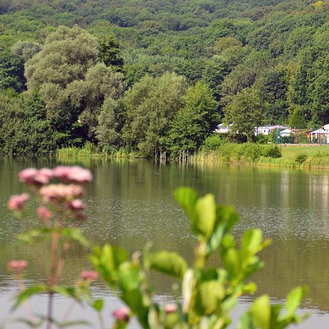 Camping La Croix du Bois Sacker - Camping Moselle - Afbeelding N°3