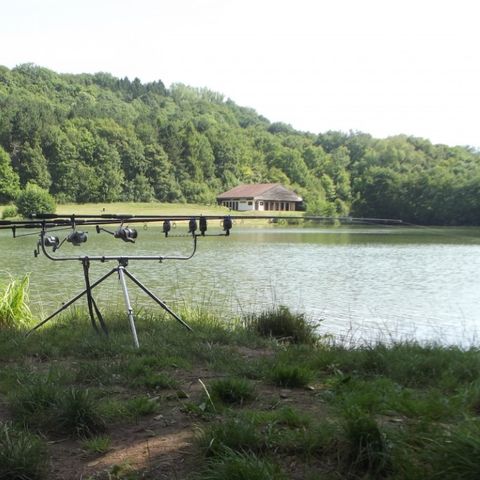 Camping La Croix du Bois Sacker - Camping Moselle - Afbeelding N°5