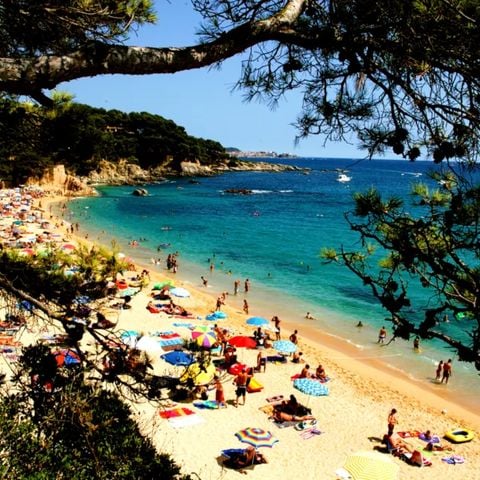 Camping International de Calonge - Camping Girona - Afbeelding N°2