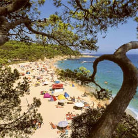 Camping International de Calonge - Camping Girona - Afbeelding N°3