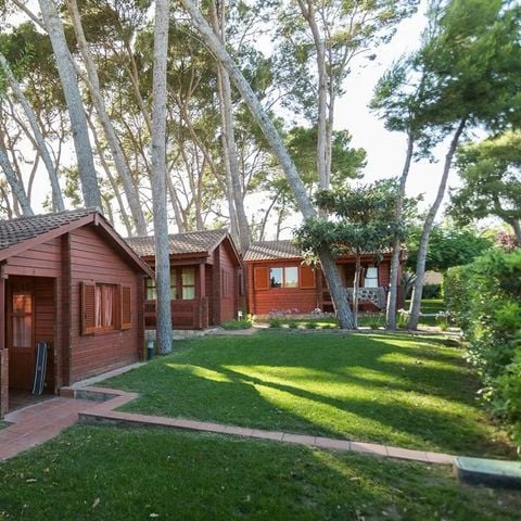 Bungalow 5 personen - 4/5-persoons bungalow met airconditioning (ca. 36 m²)