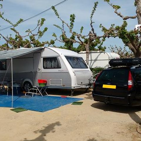 STAANPLAATS - Premium staanplaats: auto + tent/caravan of camper + 5A elektriciteit