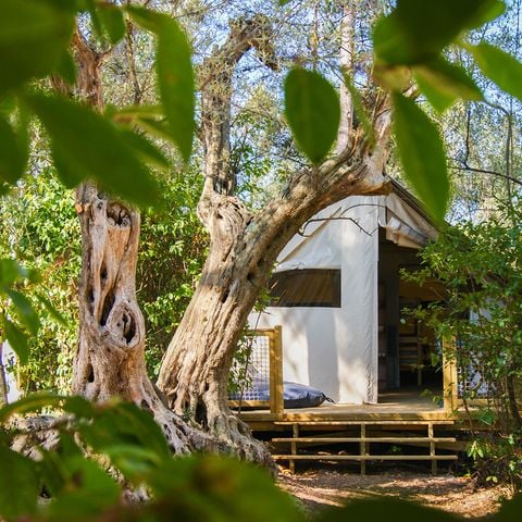 Lodge 5 personen - Lodge CANNELLE 21m² (2 kamers)