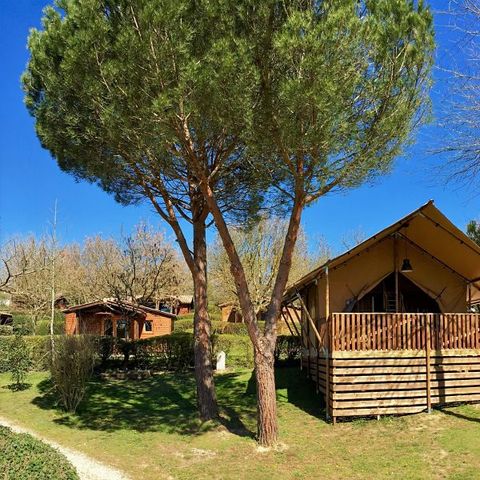 Tent van canvas en hout 5 personen - GLAMPING LODGE