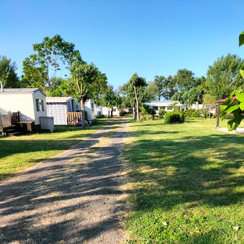 Camping la Vie  - Camping Vendée - Afbeelding N°3