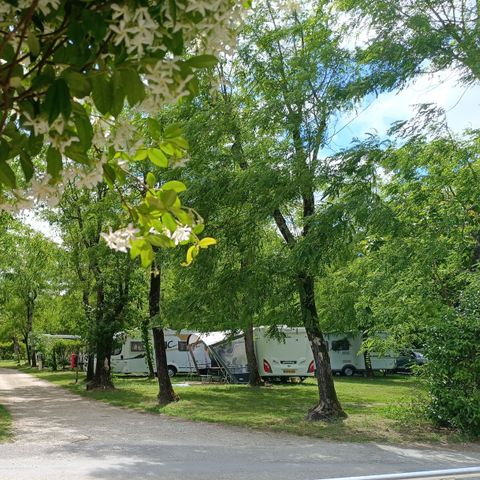 Camping La Digue - Ardèche - Afbeelding N°5