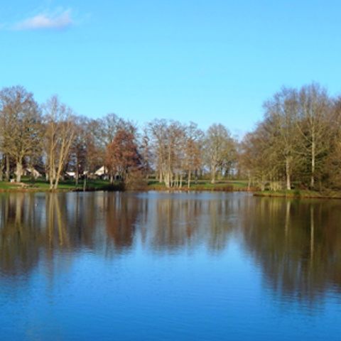 Camping du Mûrier - Camping Mayenne - Afbeelding N°5