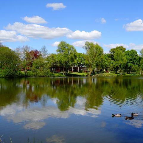 Camping du Mûrier - Camping Mayenne - Afbeelding N°6