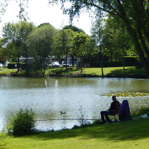 Camping du Mûrier - Camping Mayenne - Afbeelding N°3