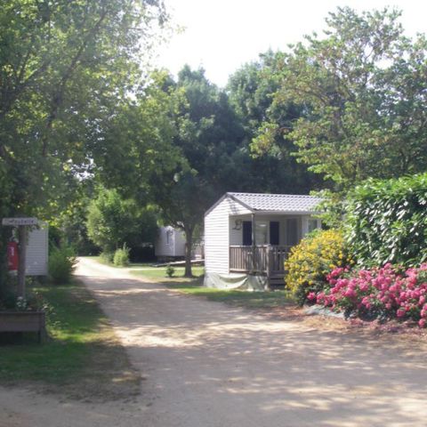 Camping Les portes de l'Anjou - Camping Maine-et-Loire - Afbeelding N°6