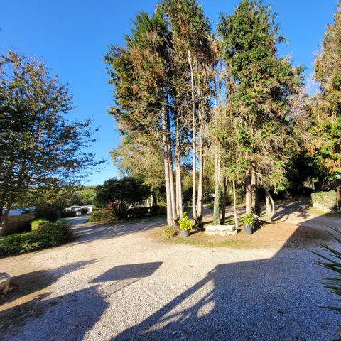 Camping Les Cerisiers - Camping Morbihan - Afbeelding N°2