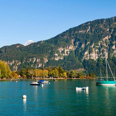 Camping Manor Farm - Camping Berner Oberland - Afbeelding N°2