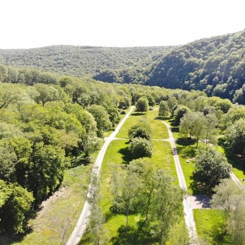 Domaine d'Haulmé - Ardennen - Afbeelding N°5