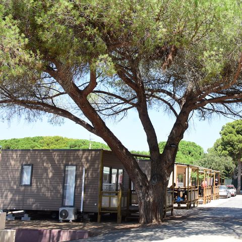 Camping Tikayan le Méditerranée - Var - Afbeelding N°4