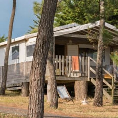 Safaritent 6 personen - Lodge Sweet Home 4/6p 2ch ****