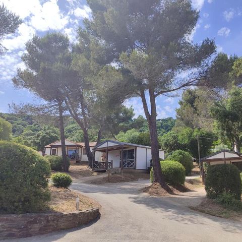 Camping Versants (anciennement Parc des Chênes) - Var - Afbeelding N°4