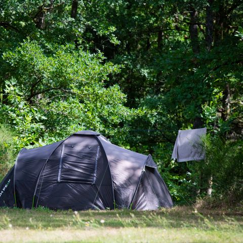 STAANPLAATS - Comfort pakket (1 tent, caravan of camper / 1 auto / 10A elektriciteit) 2 pers.