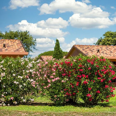 Gitavillage California  - Camping Rome - Afbeelding N°5