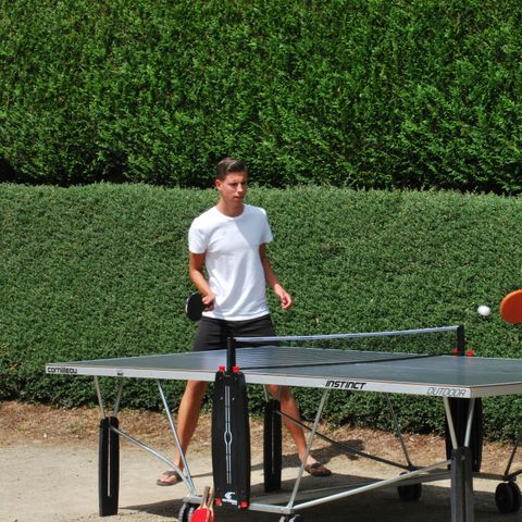 Camping Les Tournesols - Camping Sarthe - Afbeelding N°3