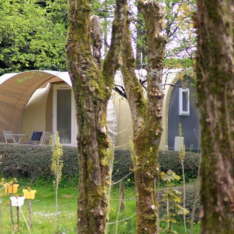 Camping Les Tournesols - Camping Sarthe - Afbeelding N°5