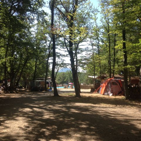 Camping L'Ermitage du Grand Bois - Camping Drôme - Afbeelding N°4