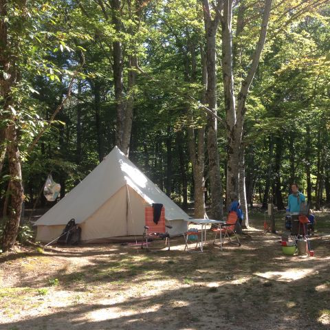 Camping L'Ermitage du Grand Bois - Camping Drôme - Afbeelding N°3