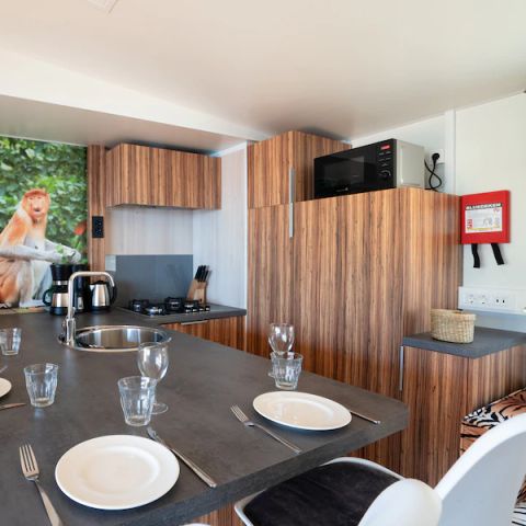 Stacaravan 5 personen - Catalpa