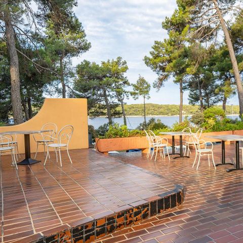 Camping Poljana  - Istrië - Afbeelding N°5