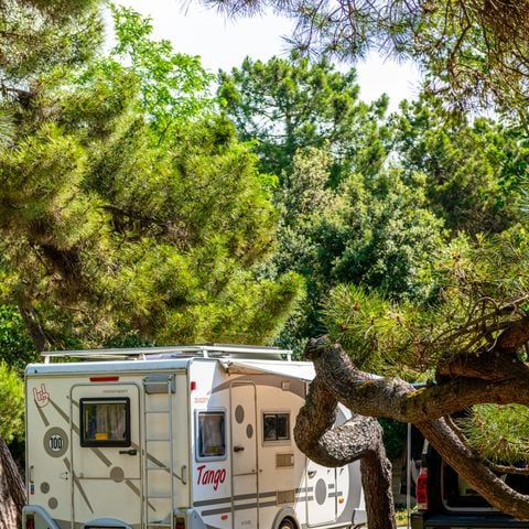 STAANPLAATS - 1 caravan of 1 tent + 1 auto of motor 60m2