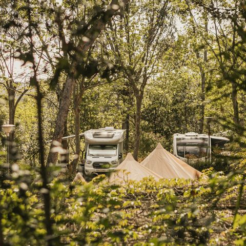 Kampeerplaats - XXL-locatie
