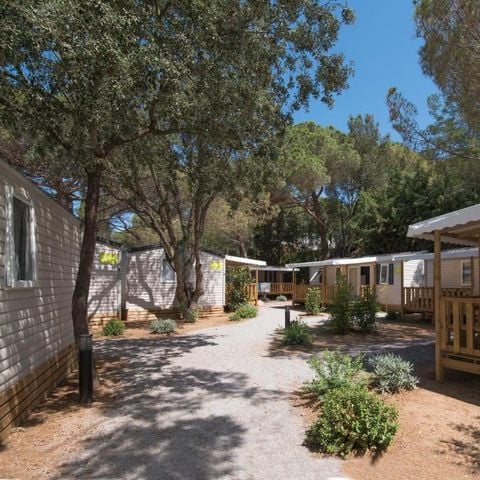 Camping Santa Elena Ciutat - Girona - Afbeelding N°6